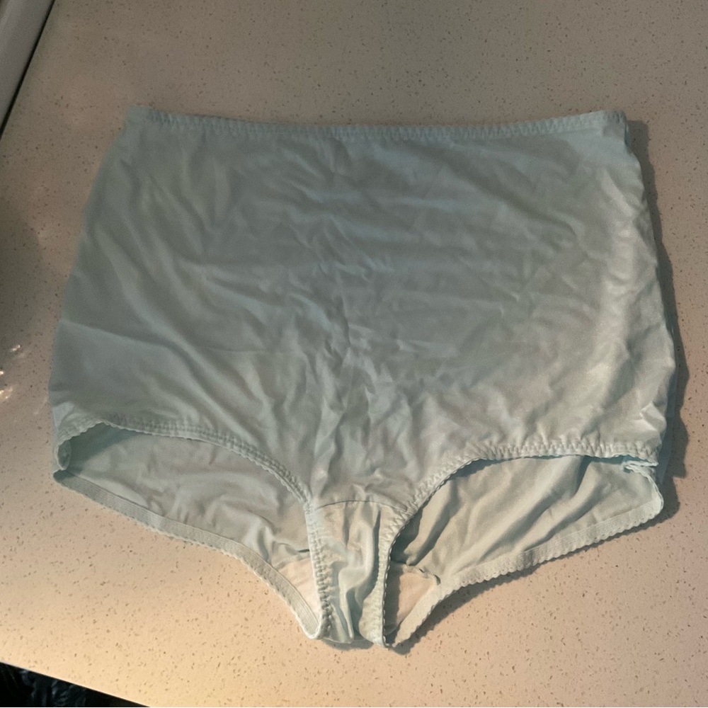 Hanes High Waist Blue Plus Size Panties-6XL